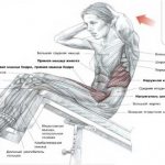 тренировка пресса