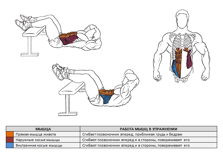 Testosteron C � ������ �����: ����.