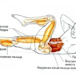 Упражнение велосипед работающие мышцы