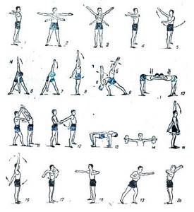 Упражнения для рук и плечевого пояса