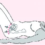 упражнения кегеля для мужчин как выполнять правильно