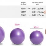 Упражнения с фитболом для всего тела для женщин. Видео с описанием