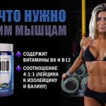 Варианты комплексов аминокислот. Производителей, выпускающих их, множество. При выборе главное – правильный подход