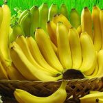 Зеленый банан, или Не забудь покормить микробиоту