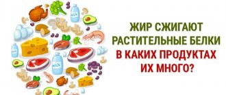 Жир сжигает растительный белок